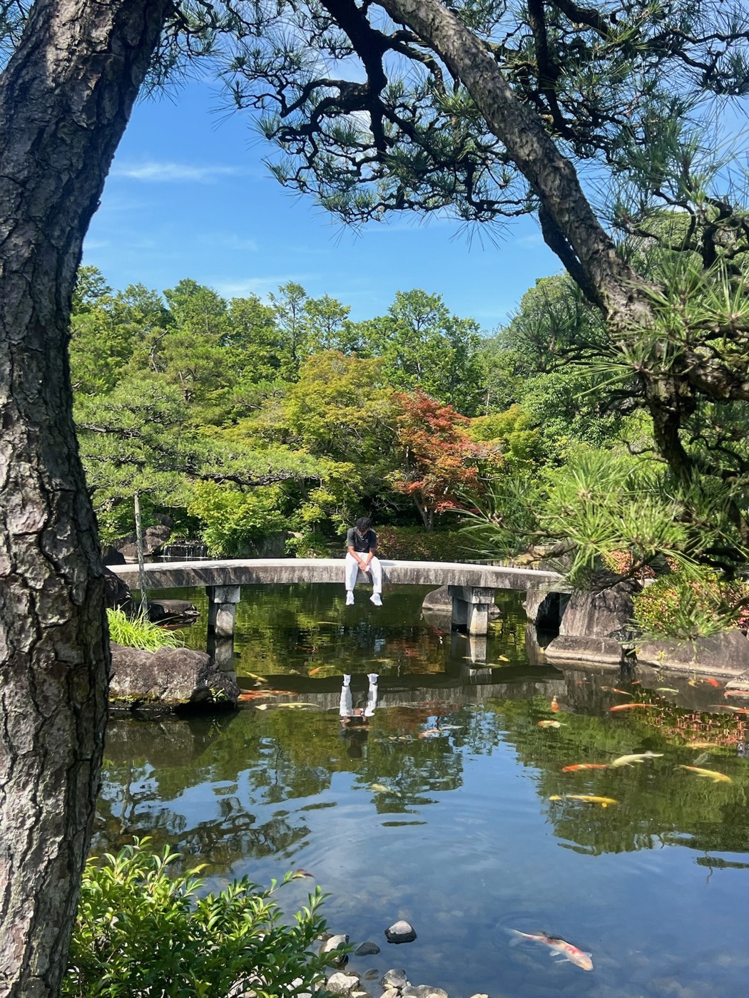 Rishi sitting on a bridge over a Japanese garden koi pond